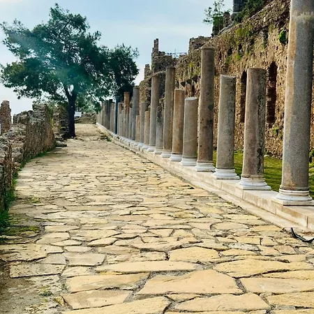 26 Cleopatra Legacy No 8 アパート アランヤ