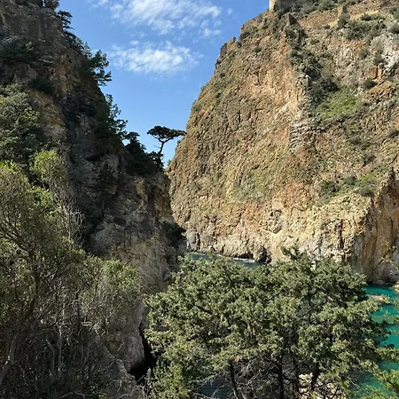 26 Cleopatra Legacy No 8 * アランヤ