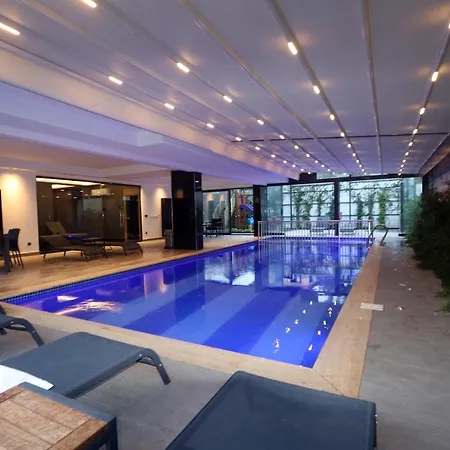 26 Cleopatra Legacy No 8 * אלאניה